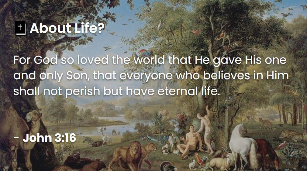 What Does The Bible Say About Life