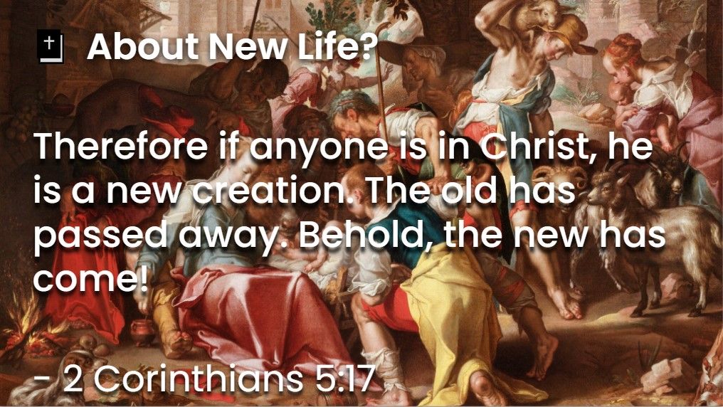 What Does The Bible Say About New Life