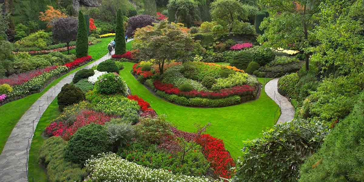 nice garden